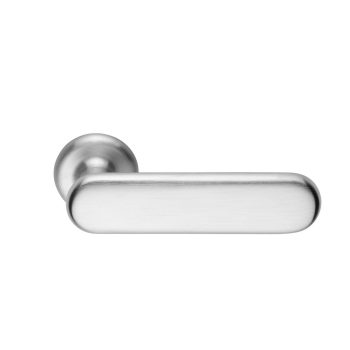 Palm